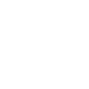 Graduation Year